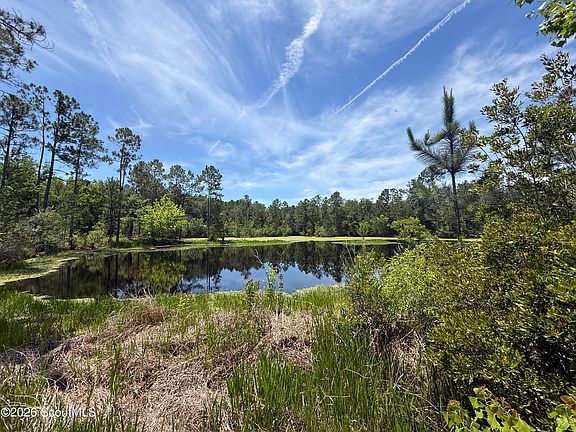2nd image of 0 Palmetto Dr