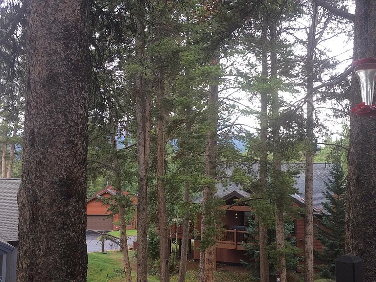 1127 Ski Hill Rd #F-96 — Photo 4