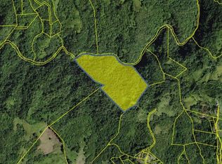 Barrio Pesas, Ciales, PR 00638