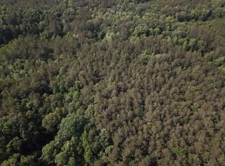 0 Palmetto Branch Rd, Jena, LA 71342