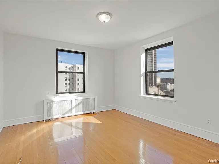 254 Martine Ave #3C — Photo 10