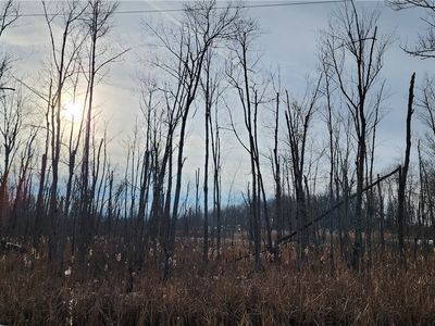 0 Blackmans Corners Rd #36, Verona, NY, 13478
