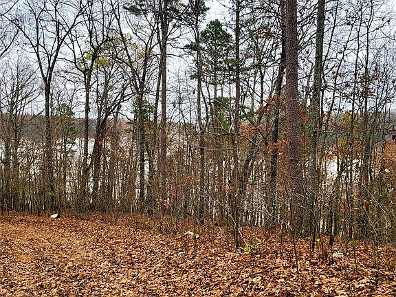 3rd image of 0 County Road 417