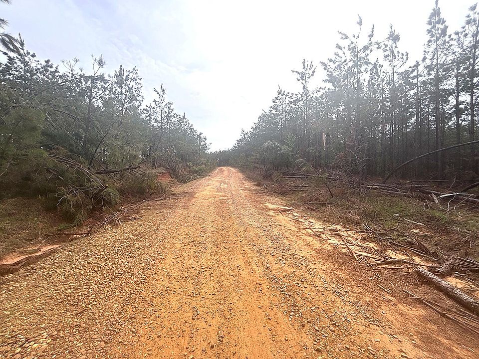 2nd image of 404 County Road 373