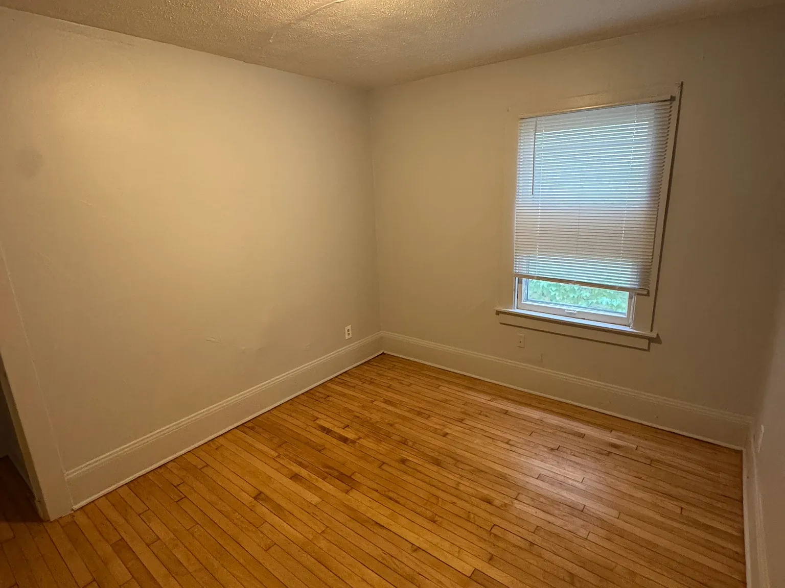3 bed, 1230 sqft, $1,200 — Photo 3