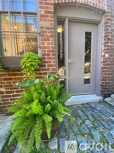 Entrance off Miss Scotts Alley