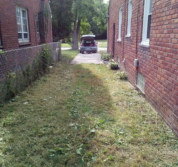 15366 Stout St — Photo 6
