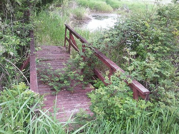 Bridge to a duck pond