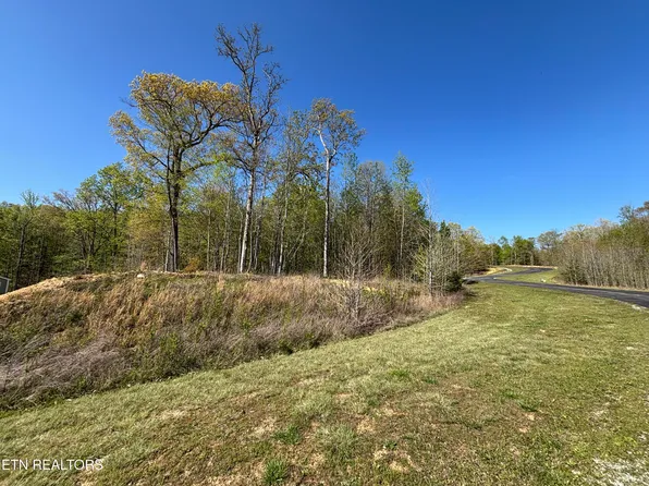 Thief Neck View Dr, Rockwood, TN 37854