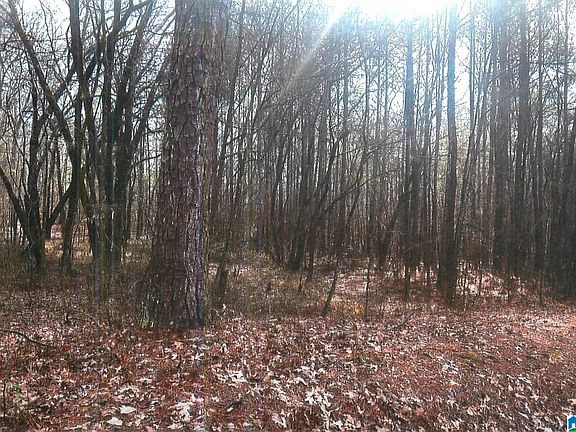 2nd image of 0 Walkers Crossing Rd #0