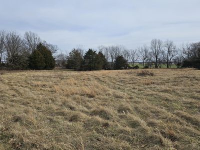 17755 State Highway Z, Verona, MO, 65769