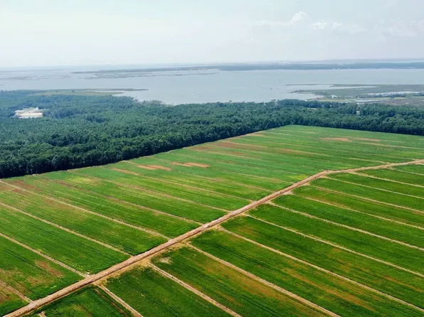 525 Crow Hill Rd, Beaufort, NC 28516