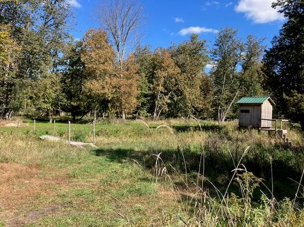Ville #M-66, Stanton, MI 48888