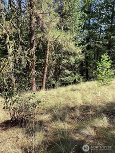 141 Lot Owl Road, Tonasket, WA, 98855