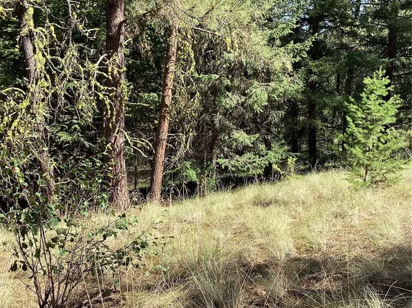 141 Lot Owl Road, Tonasket, WA 98855