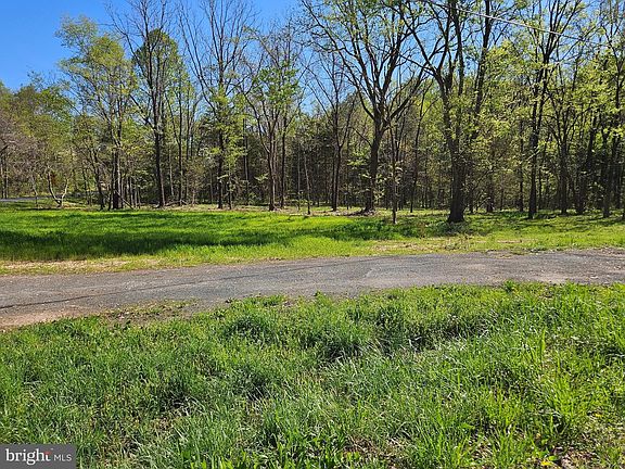 5th image of Physic Spring Rd