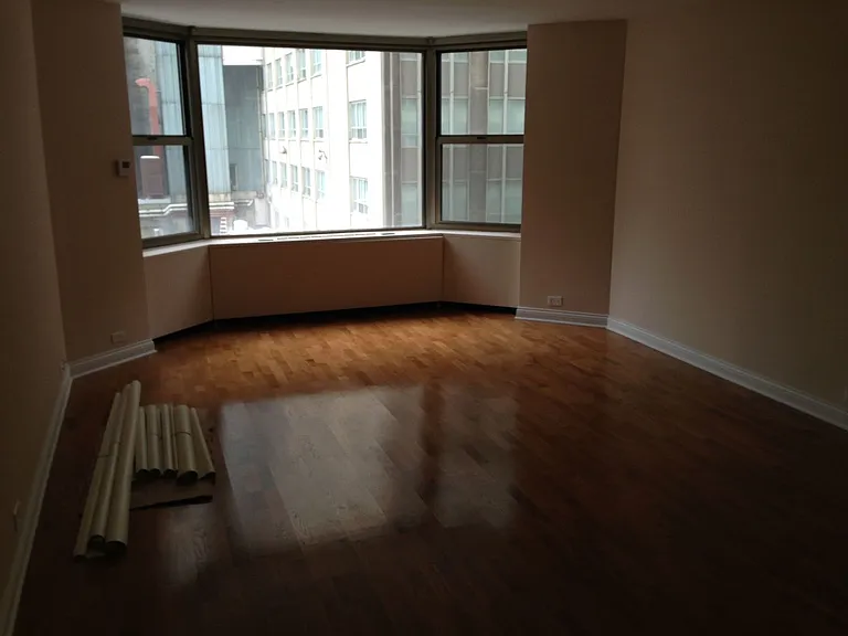 535 N Michigan Ave #506 — Photo 3