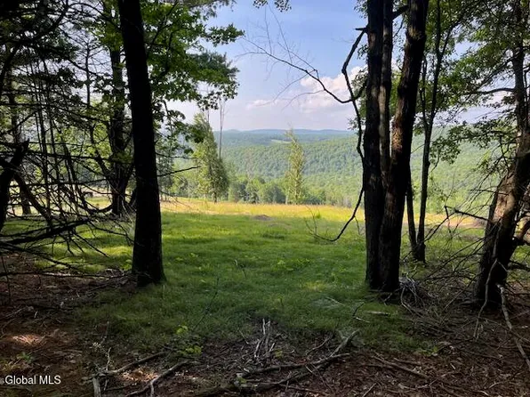 L49 Laura Lane, Broome, NY 12122