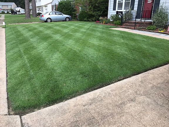 Renovated front yard in 2015