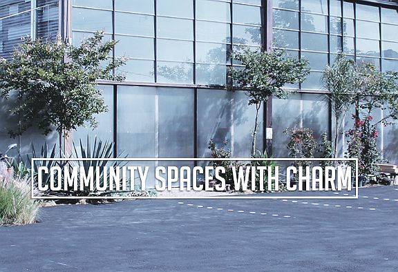 Screen Shot 2015-11-13 at 1.46.32 PM