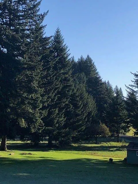 Studio, 8000 sqft, $850 — Photo 4