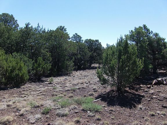 2nd image of N3065 Tbd N3065