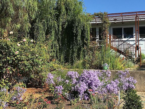 3rd image of 410 Sunnyvale Dr