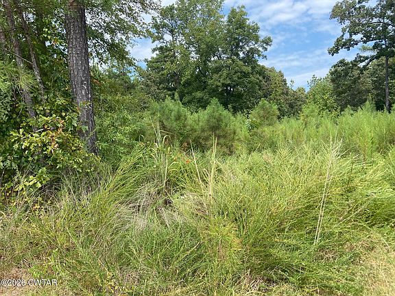 4th image of 1098 Otis Paine Rd