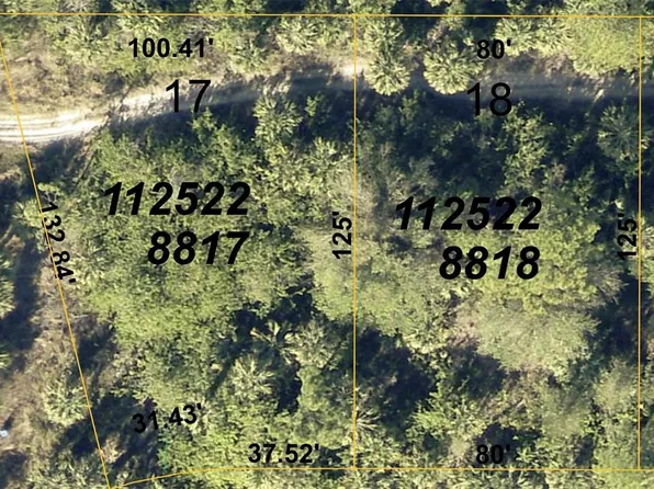 Climbing Ter #17, North Pt, FL 34286