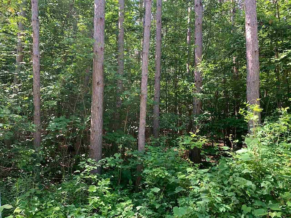 427 Lotus St, Mosinee, WI 54455 Zillow