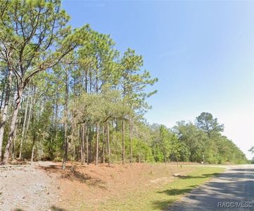 9318 N Lily Dr, Citrus Springs, FL, 34434