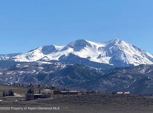 811 Green Meadow Dr, El Jebel, CO 81623