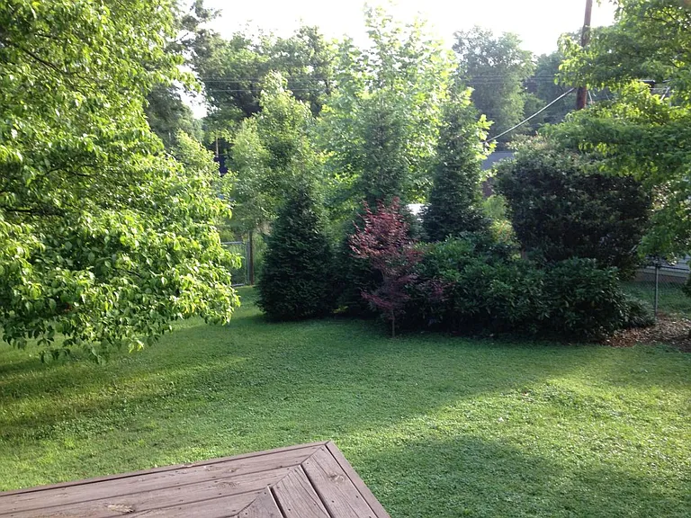 5547 Wedgewood Dr — Photo 15