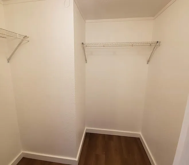 2728 Mallow Pl — Photo 17