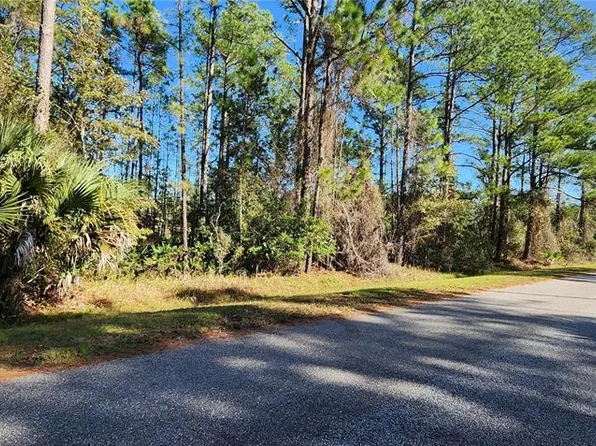13 Apricot Ave, Eustis, FL 32736