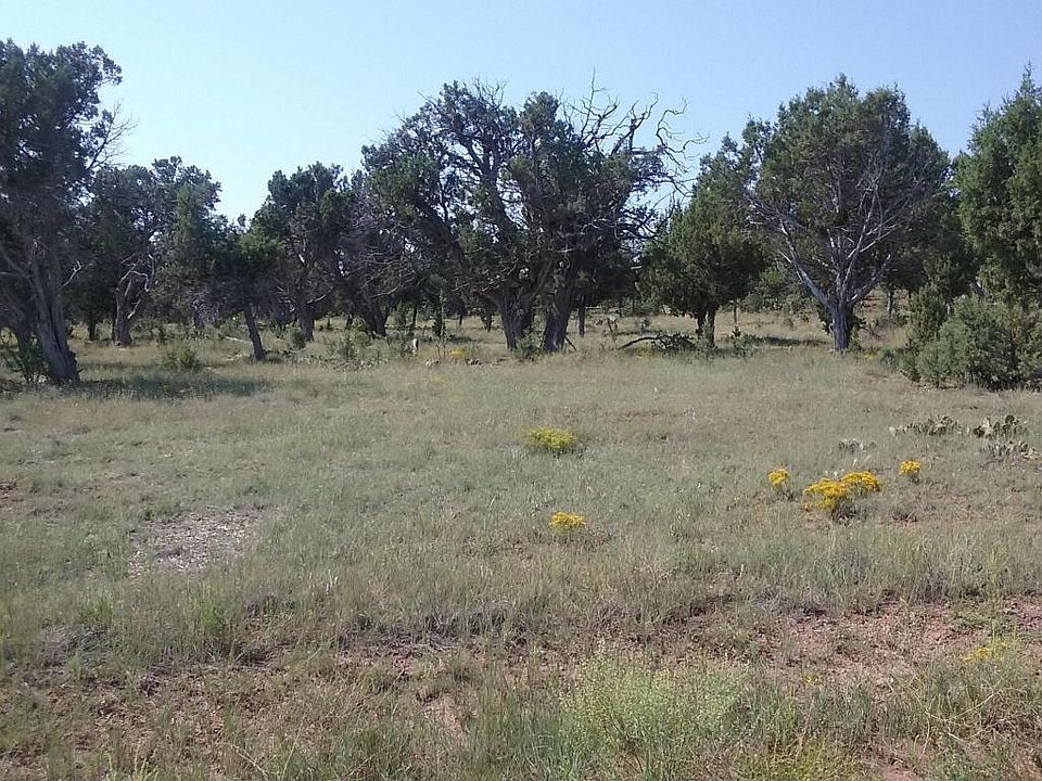 2nd image of 5313 Alserita Rd