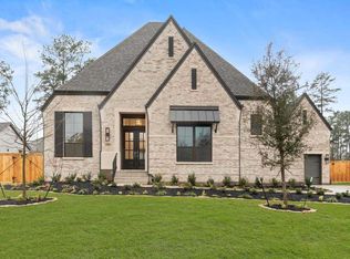 315 Rivus Overlook Dr, Willis, TX 77318