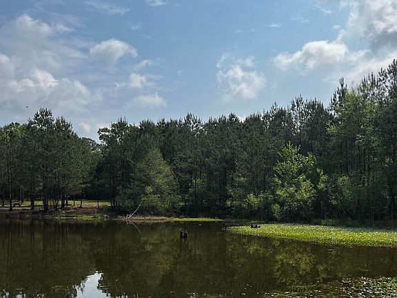 3rd image of 15528 Broadus Rd