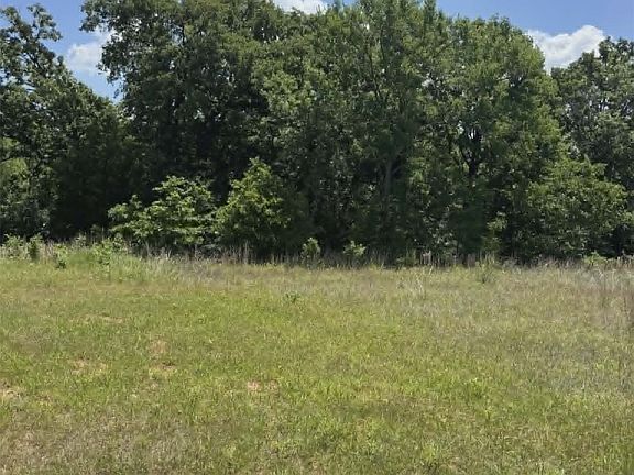 3rd image of Lowery Rd