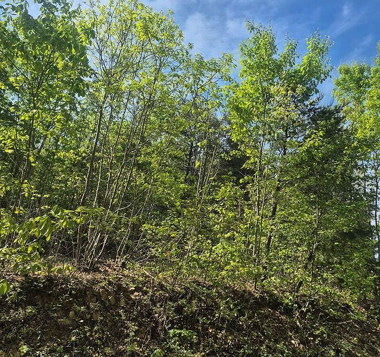 1st image of 628 Mountain Creek Rd #16
