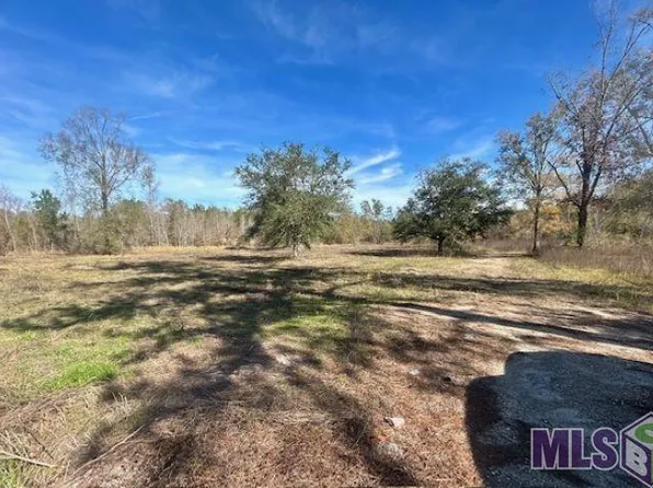 26892 State Highway 441, Holden, LA 70744