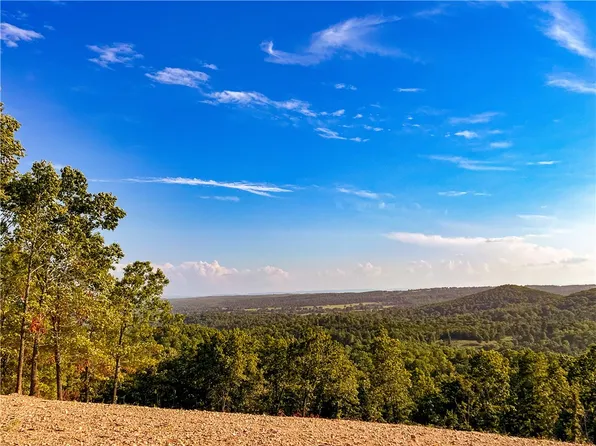 507 Thataway Rd, Yellville, AR 72687