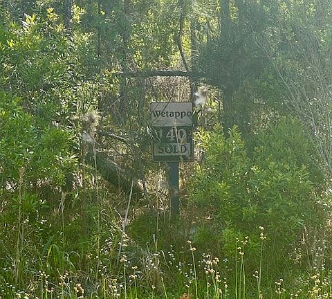 3rd image of 140 Ibis Dr