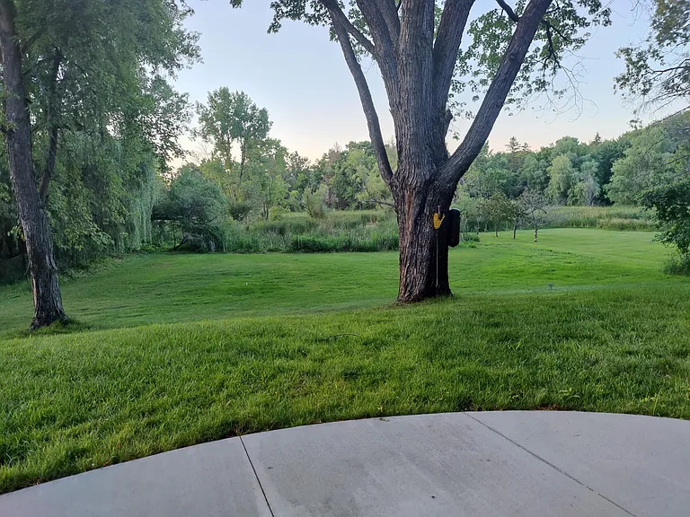 View of backyard from patio