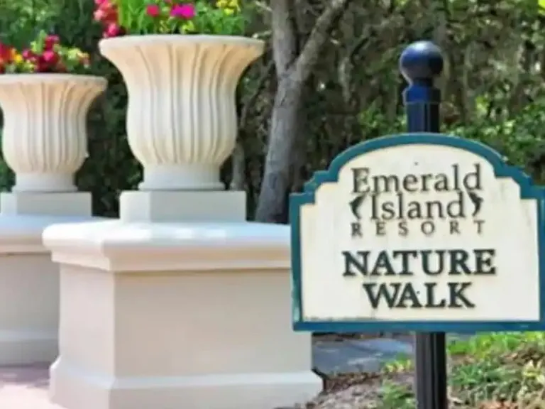 2646 Emerald Island Blvd — Photo 73