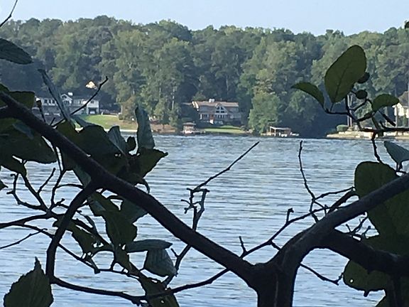 from across Lake Peachtree