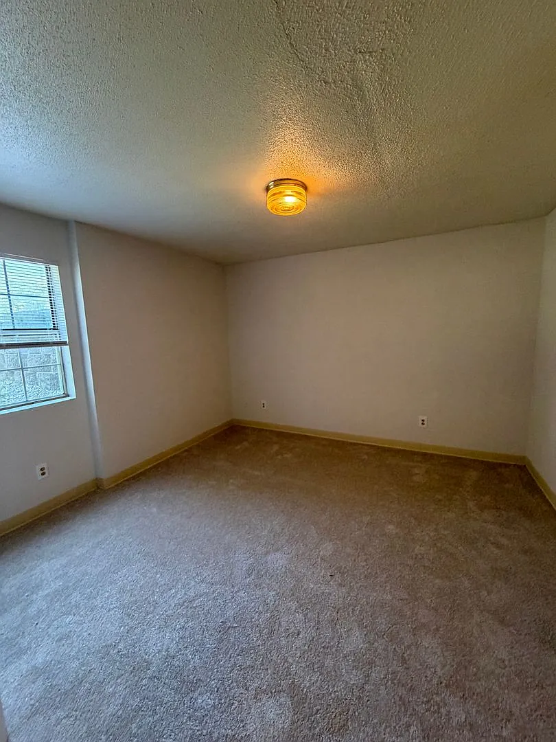Campus Suites — Photo 4