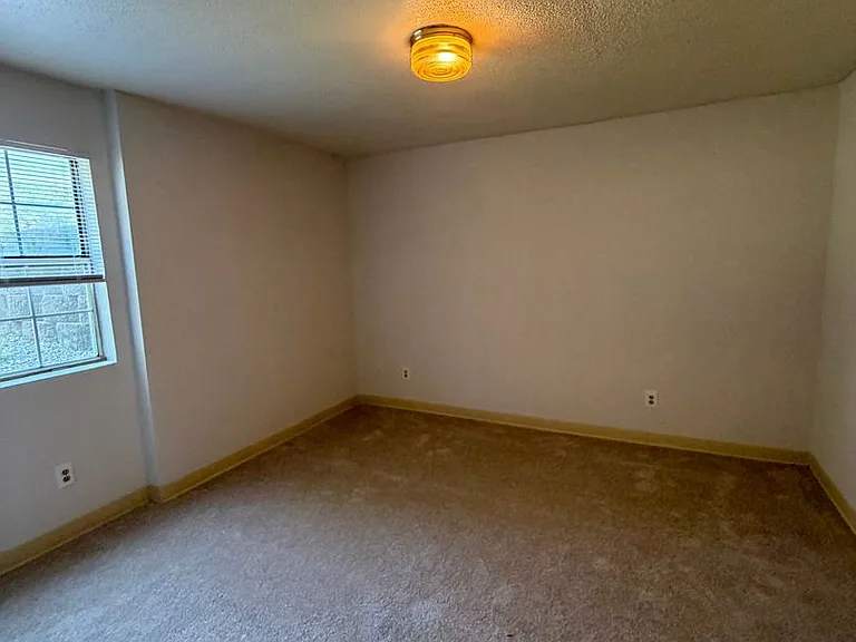 3802 Lexington Dr — Photo 4