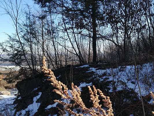 2nd image of 67 Timberline Trl
