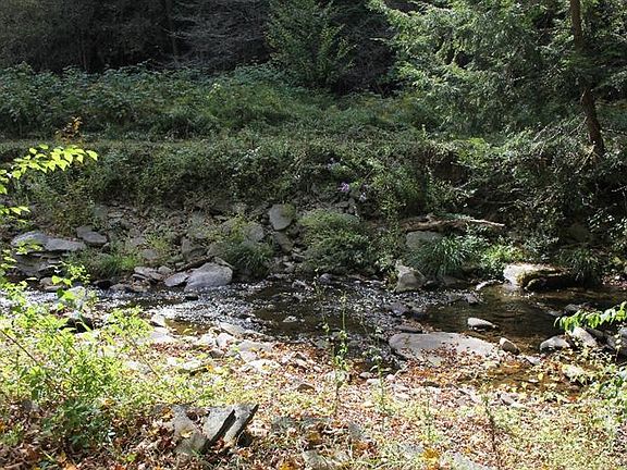 2nd image of 27562 State Highway 206